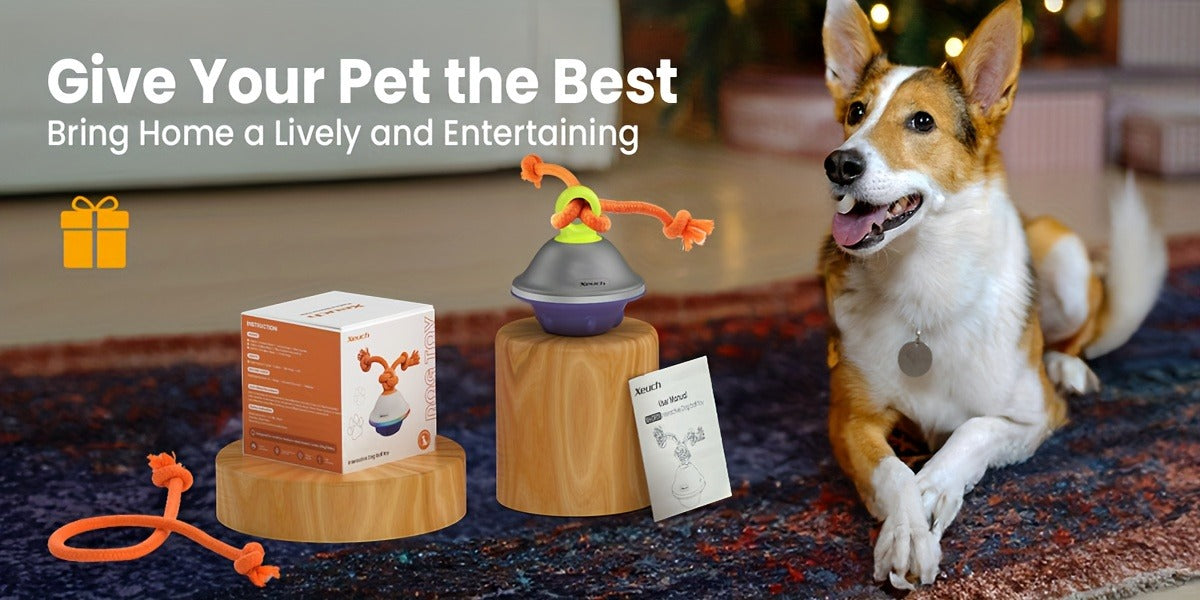 Dog Toy Motion-Activated Auto-Rolling Ball with Voice Recording, Rope and White or Gray Options