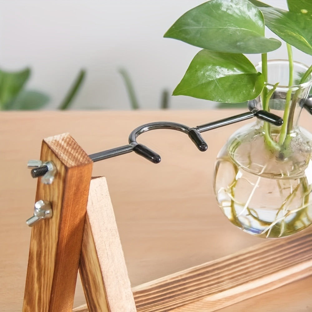 Three-Bulb Plant Propagation Station with Removable Glass Vases and 11-Inch Folding Wood Stand