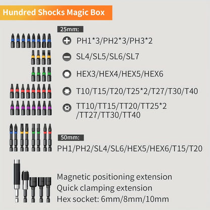 45-Piece Screwdriver Bit Set with Torx, Phillips, Slotted and Square Bits in a Storage Case