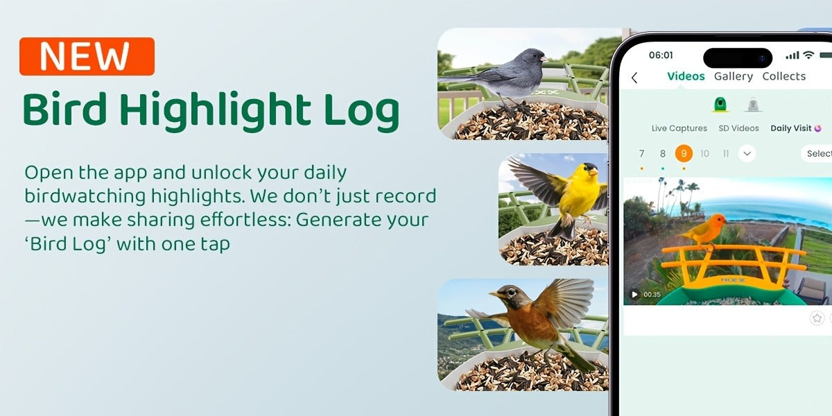 Smart Bird Feeder, Camera AI Bird Identification, 2K HD Live View, Auto Capture & Color Night Vision