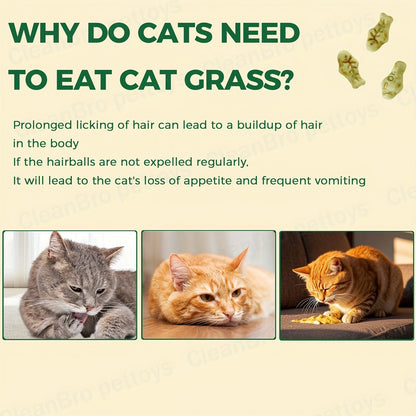 150 g Catnip and Cat-Grass Cookie Treats with Shaped Pieces and Pictured Ingredient Panel Pictured