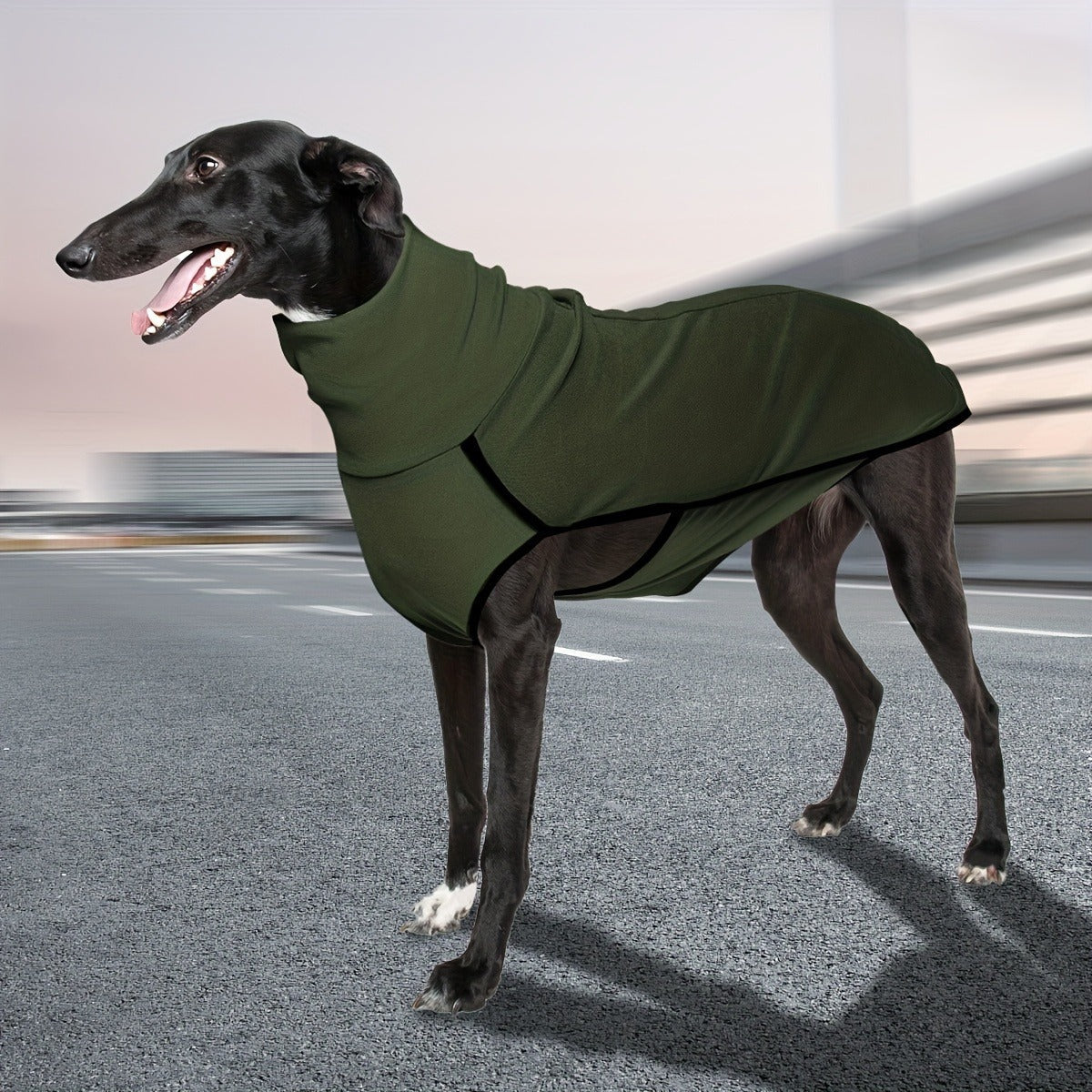 High-Neck Pullover Dog Coat in Burgundy, Navy or Fern Green with Selected XL Through 4XL Sizes
