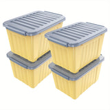 Gray/Yellow