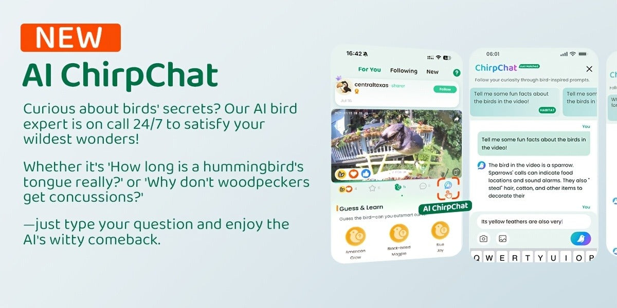 Smart Bird Feeder, Camera AI Bird Identification, 2K HD Live View, Auto Capture & Color Night Vision