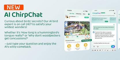 Smart Bird Feeder, Camera AI Bird Identification, 2K HD Live View, Auto Capture & Color Night Vision