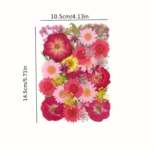 Dried Pressed Flowers Kit 500pcs – Natural Real Flower Petals & Leaves for Resin Art, Nail Art, Jewelry Making, Scrapbooking, Phone Case Decor, Candle Making & DIY Floral Crafts