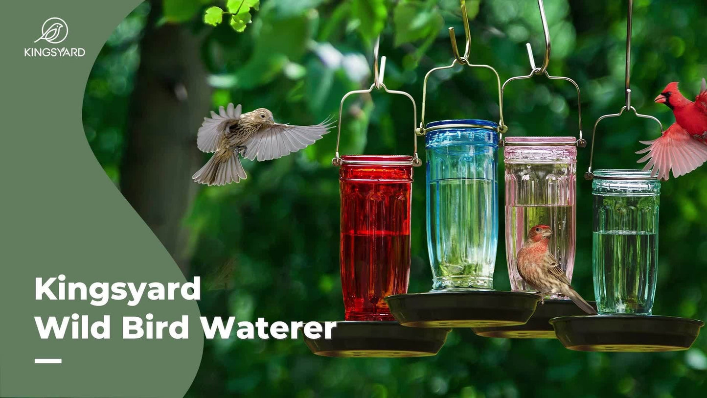 Bird Waterer Outdoor Hanging Glass Wild Bird Water Dispenser with Metal Handle - Gravity Fed Garden Yard Patio Tree Bird Feeder for Cardinals Blue Jays Finches Sparrows Bird Lover Gift