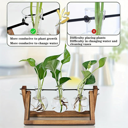 Three-Bulb Plant Propagation Station with Removable Glass Vases and 11-Inch Folding Wood Stand