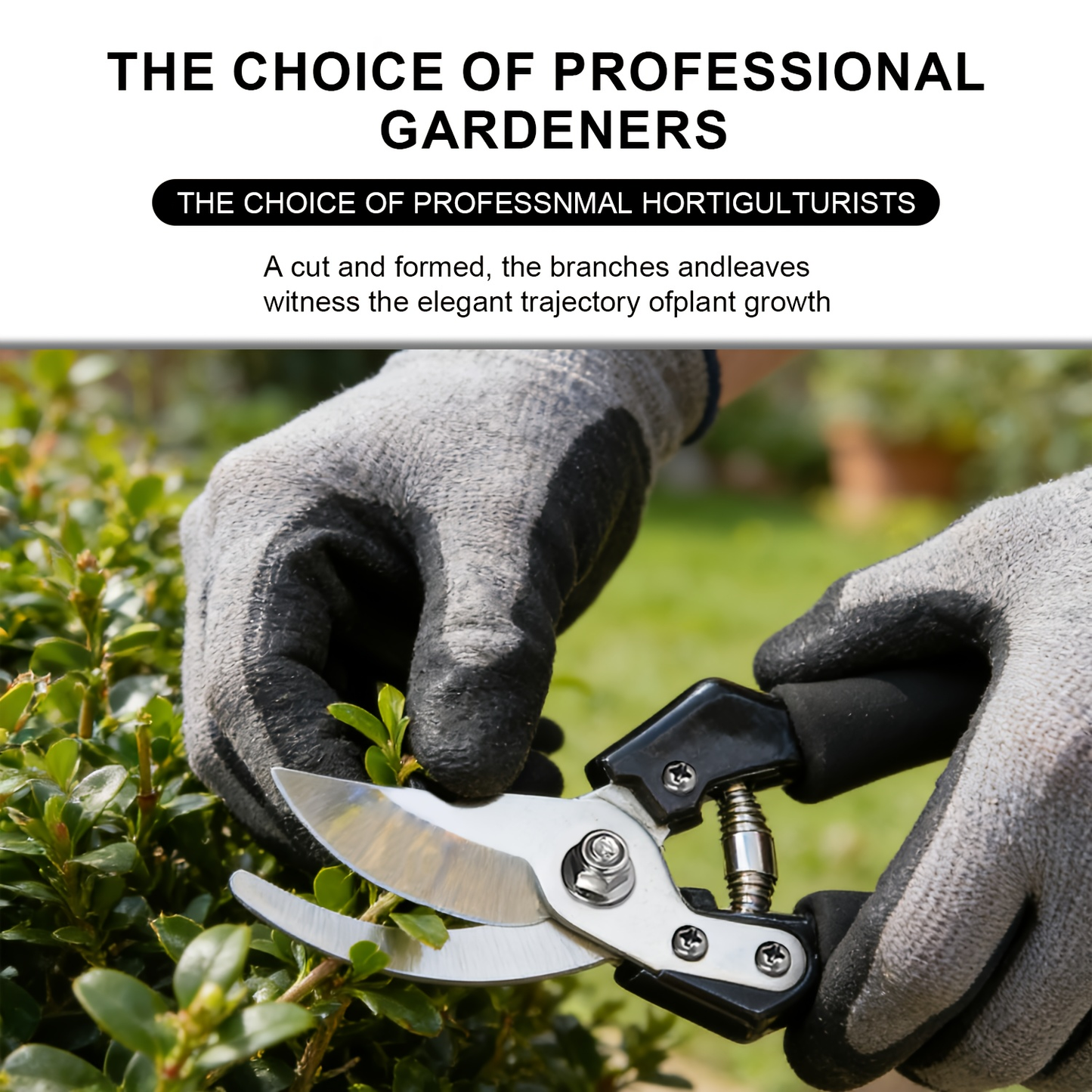 Stainless Steel Pruning Shears, 8.27 Inches with Sharpening Stone in One- or Two-Set Options