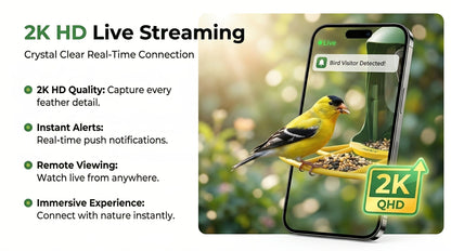 Smart Bird Feeder, Camera AI Bird Identification, 2K HD Live View, Auto Capture & Color Night Vision
