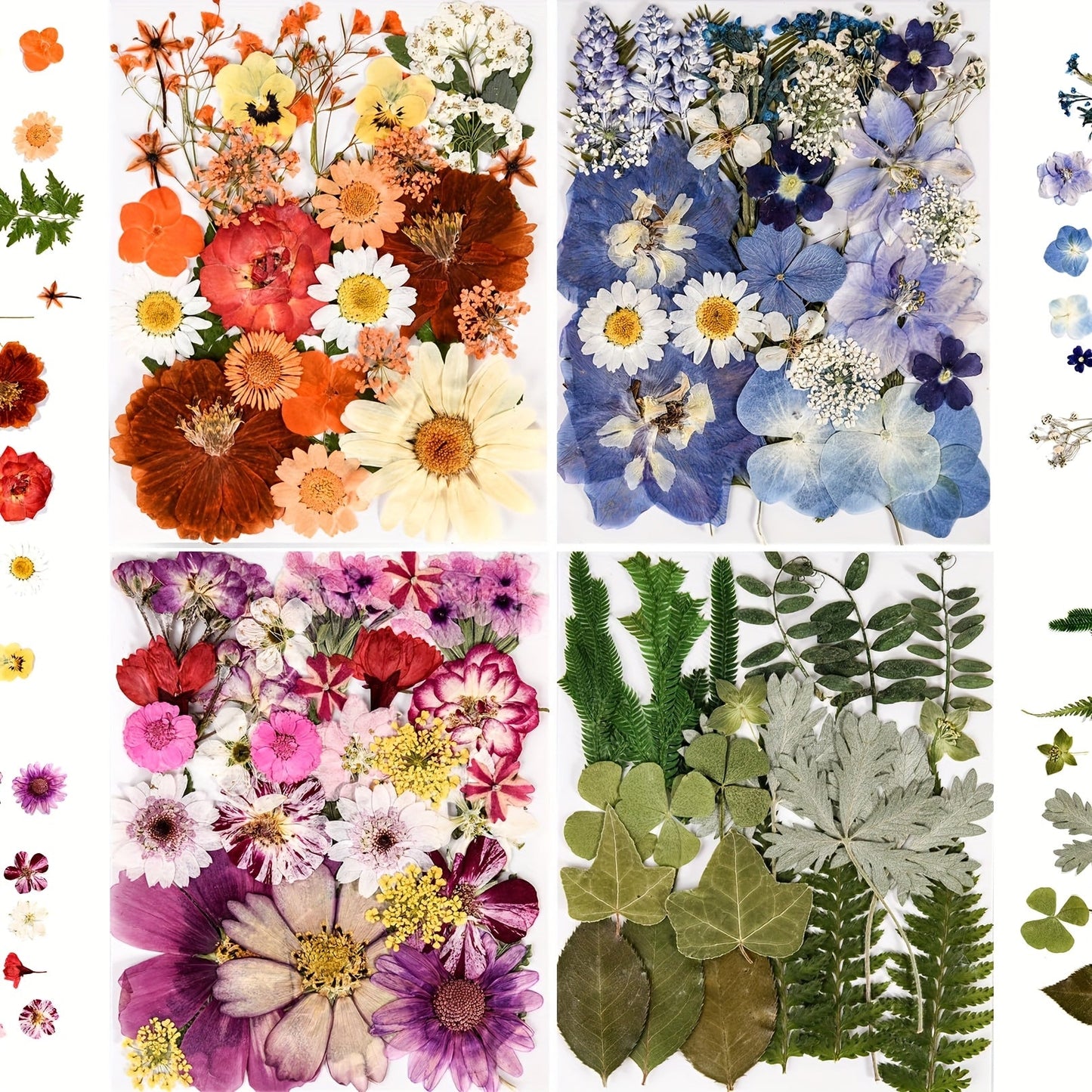 One Hundred Ten-Piece Pressed Flower and Leaf Assortment in Four Color-Themed Craft Packs Pictured