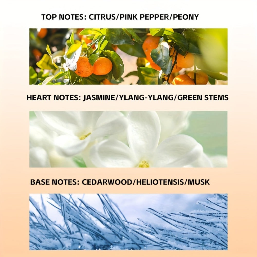 Eau de Parfum Floral Collection for Women 100ml with Talc-Free Formula & 3 Bottle Styles for Daily Wear