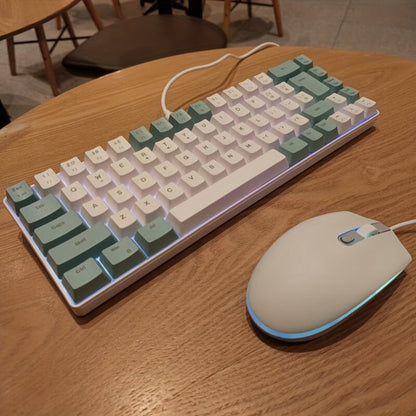 Compact Wired Gaming Keyboard in 61-Key and 68-Key Layouts with Ten Color and Mouse Options