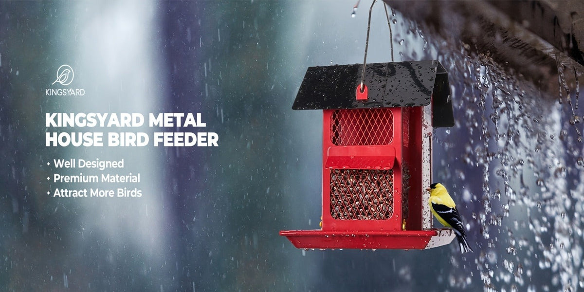 Metal Bird Feeder for Outside - 4 Lbs Large Capacity Hanging Wild Bird Feeder, for Garden, Yard and Pest Management