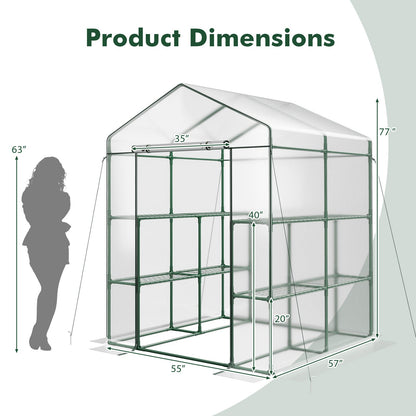 55 x 57 x 77-Inch Walk-In Greenhouse with Transparent Cover, Roll-Up Door and Eight Side Shelves