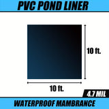 10 FT x 10 FT