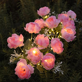Pink Exquisite Peony