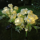 White Exquisite Peony