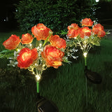 Orange Exquisite Peony