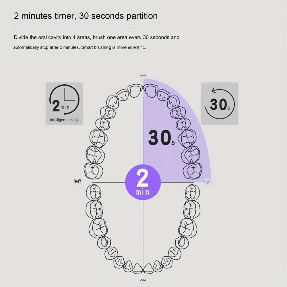 Electric Toothbrush with IPX7 Rating, Eight Round Brush Heads, Three Modes, Type-C Charging and Travel Case