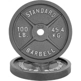 100LB (SET OF 2)