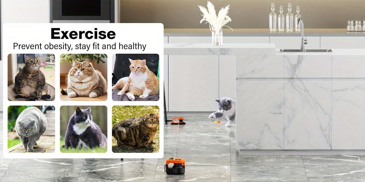 Interactive Cat Toy Auto & Remote Control - Electric Feather Mouse Lure Coursing Machine with DIY Track, Mouse Sounds, Auto Timer, Boredom Buster for Indoor Cats Kittens, 2 Speed Modes