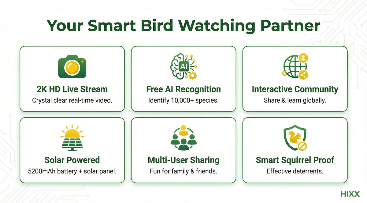 Smart Bird Feeder, Camera AI Bird Identification, 2K HD Live View, Auto Capture & Color Night Vision