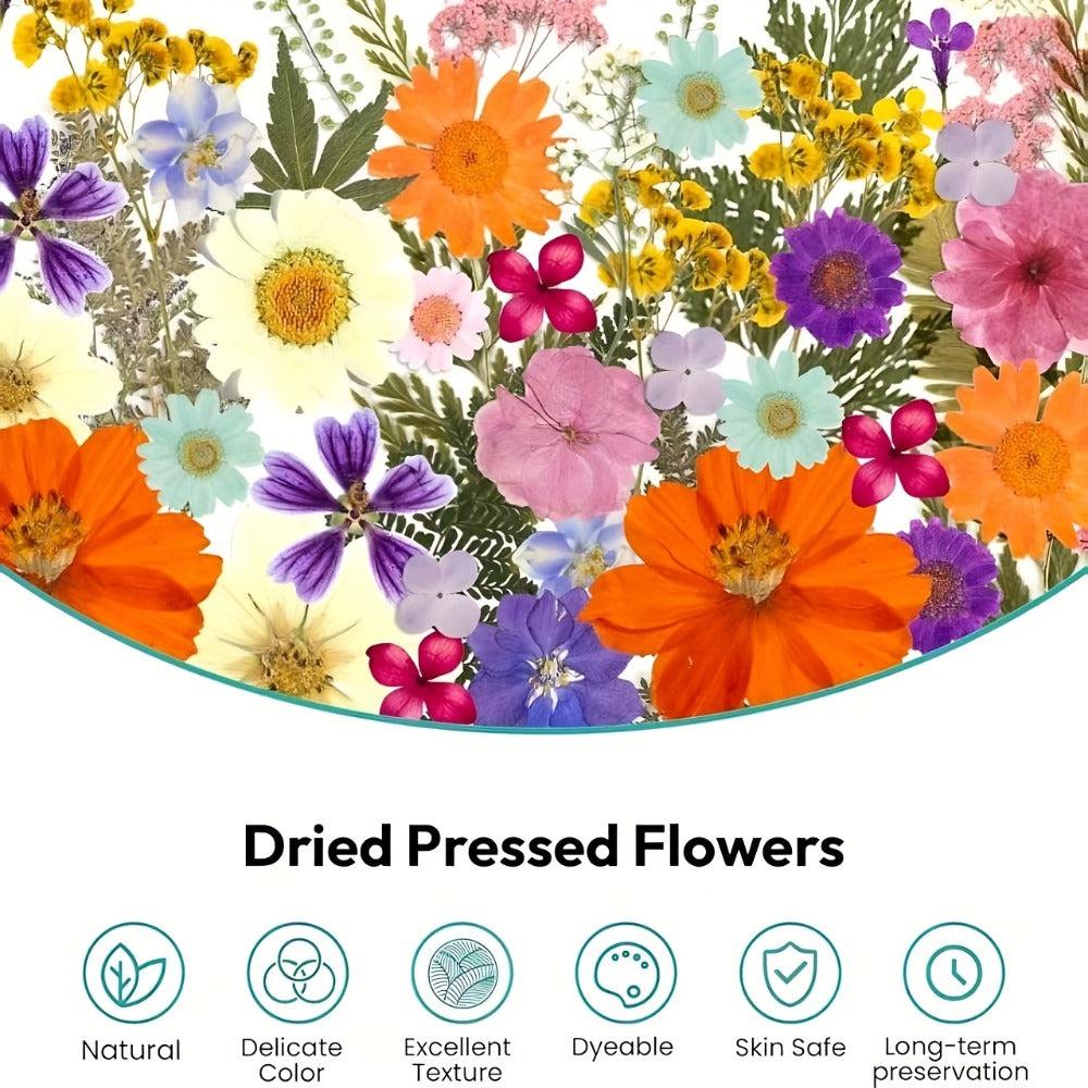 500-Piece Natural Dried Pressed Flower and Leaf Assortment for Resin, Scrapbooks, Cards and DIY Crafts