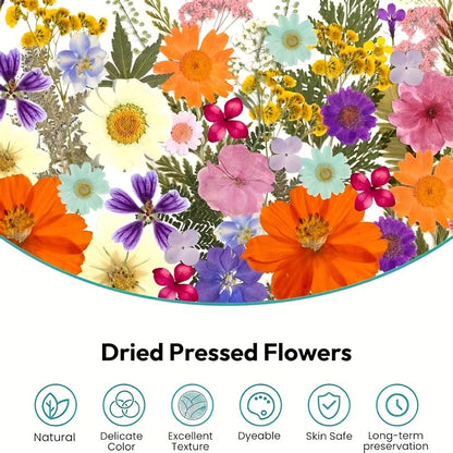 500-Piece Natural Dried Pressed Flower and Leaf Assortment for Resin, Scrapbooks, Cards and DIY Crafts