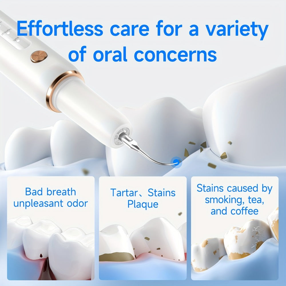 Ultrasonic Tartar Remover Electric Tooth Cleaner 5-Speed IPX6 Waterproof USB Rechargeable Dental Scaler with LED Light Mirror 2 Tips Plaque Stain Removal Tool for Home Oral Care Adults