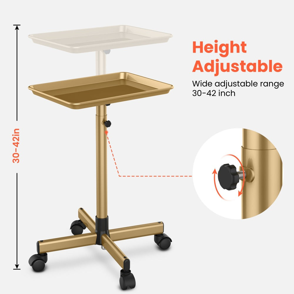 Salon Trolley Cart Height Adjustable 30 to 42 Inch Rolling Tray Table on Wheels Lockable Casters for Hair Stylist Barber Esthetician Nail Salon Spa Beauty Station Silver