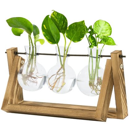 Heart-Shaped Glass Propagation Vase with Removable Bottle and 11-Inch Folding Wooden Display Stand