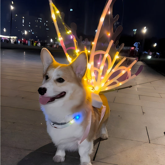 LED Light-Up Butterfly Angel Wings Costume for Dogs, Girls & Women – Multi-Color Illuminated Wings for Halloween, Christmas, Carnival, Cosplay & Themed Pet Parties, One Size Fits Most