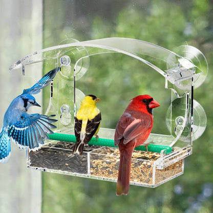 Window Bird Feeder - Clear Acrylic Suction Cup Bird Feeder for Birdwatching