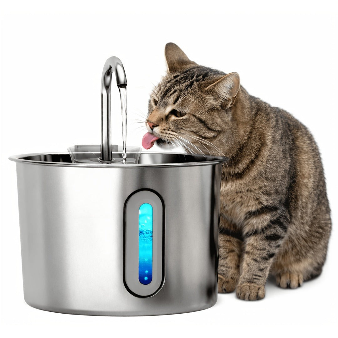 2.2L Pet Water Fountain with Stainless-Steel-Marked Basin, Water Window and 2+2 or 8+8 Filter Bundles