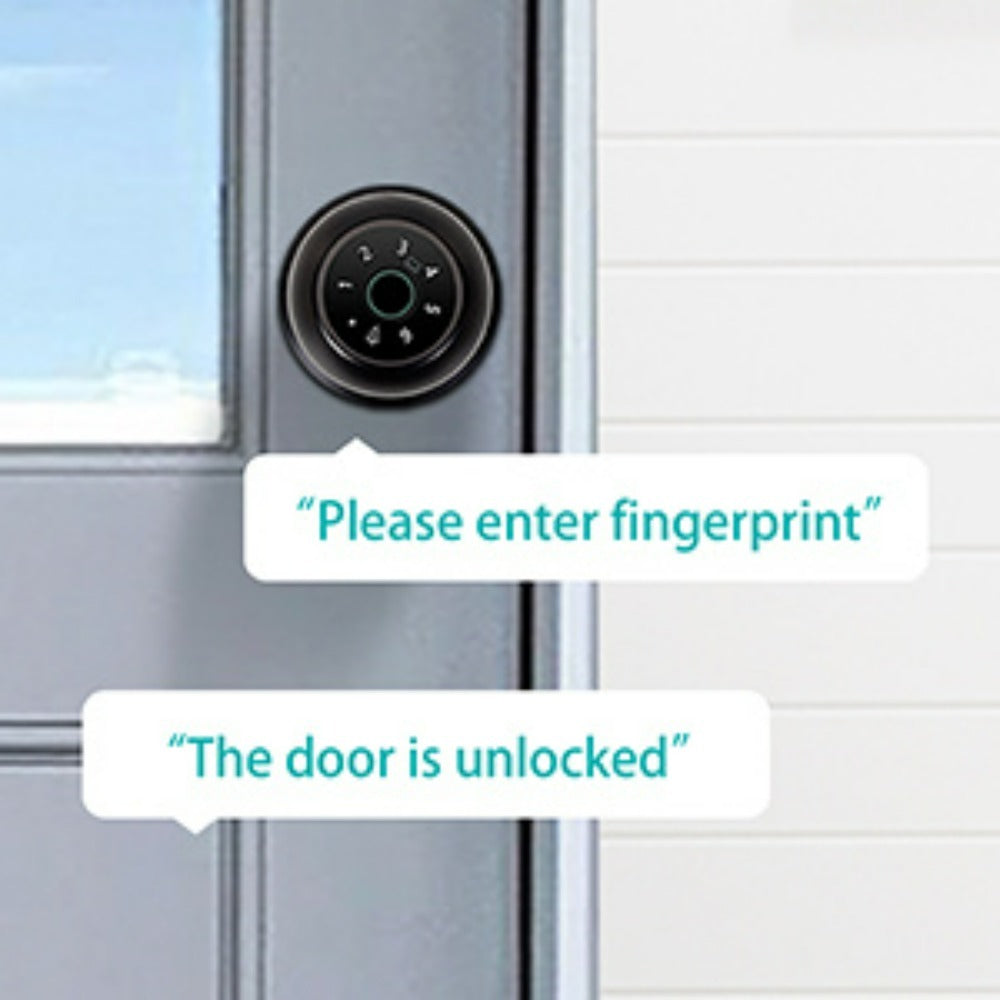 Smart Door Lock Tuya Five-Method Spherical Knob with Fingerprint App IC Card Password and Key