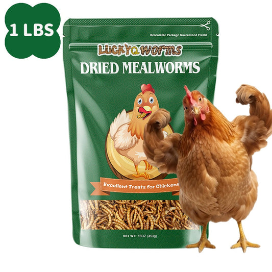 Dried Mealworms High Protein Animal Feed – Natural Insect Treats for Chickens Wild Birds Hens Ducks Turtles Fish Lizards Hamsters, Non-GMO Dried Larvae Pet Food Supplement, 0.6LB to 44LB