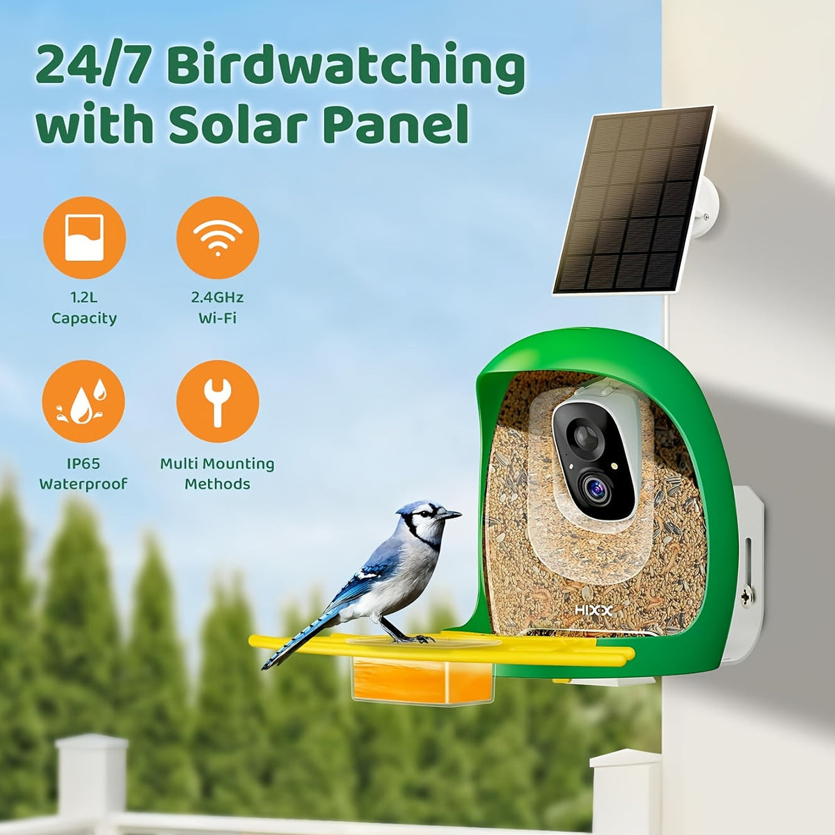 Smart Bird Feeder, Camera AI Bird Identification, 2K HD Live View, Auto Capture & Color Night Vision