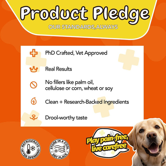 Dog Joint Supplement Chews – Glucosamine, Chondroitin & Alaskan Salmon Oil for Dogs & Cats, Mobility & Cartilage Support, 90 Soft Chews Chicken Flavor, 90-Day Supply