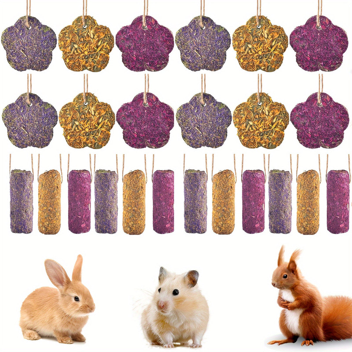 Small Animals