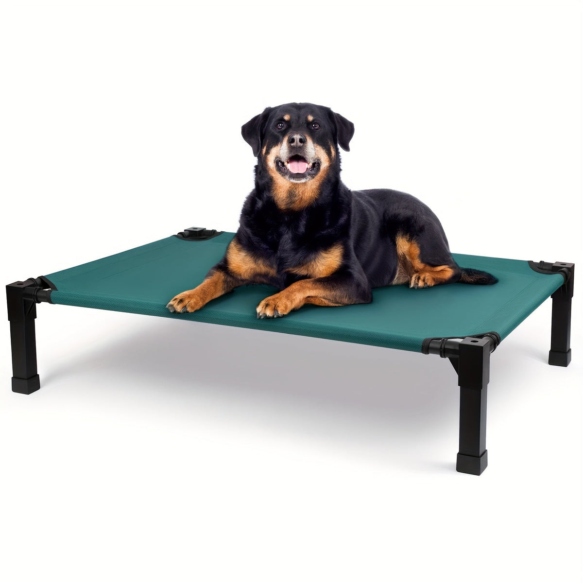 Elevated Pet Cot with Metal Frame, Textilene-Labeled Mesh Deck, Four Sizes and Seven Colors