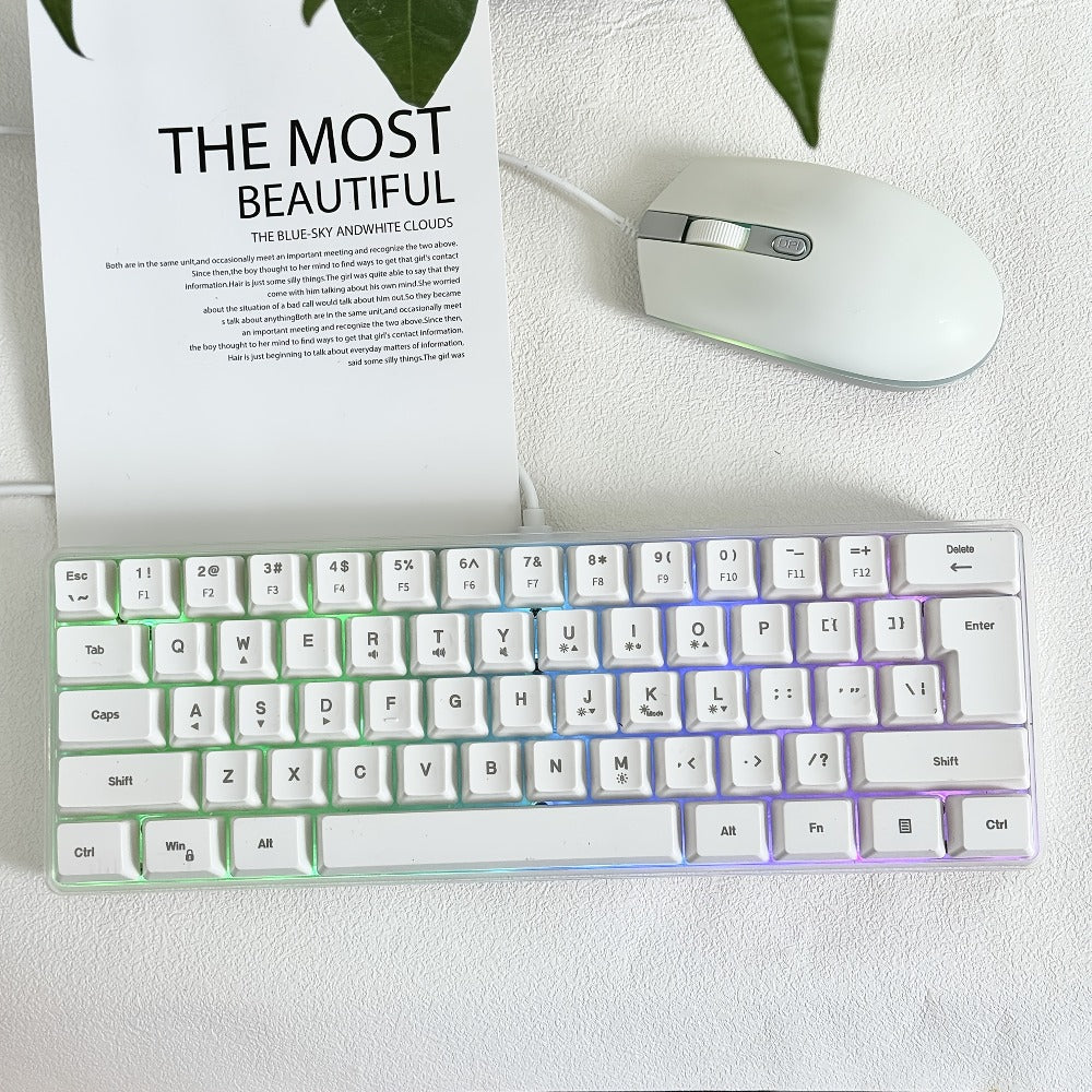 Compact Wired Gaming Keyboard in 61-Key and 68-Key Layouts with Ten Color and Mouse Options