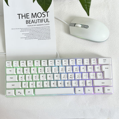 Compact Wired Gaming Keyboard in 61-Key and 68-Key Layouts with Ten Color and Mouse Options