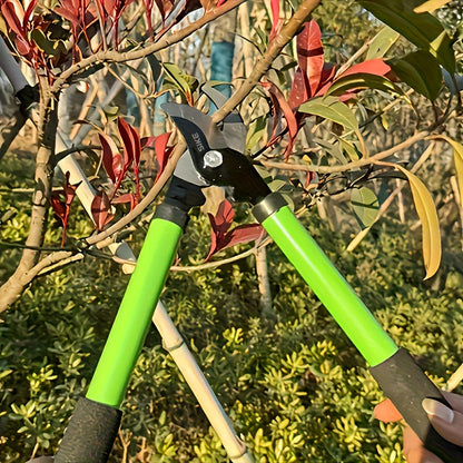 Long-Handle Bypass Loppers in Red or Green with Black Foam Grips and H or L Checkout Options