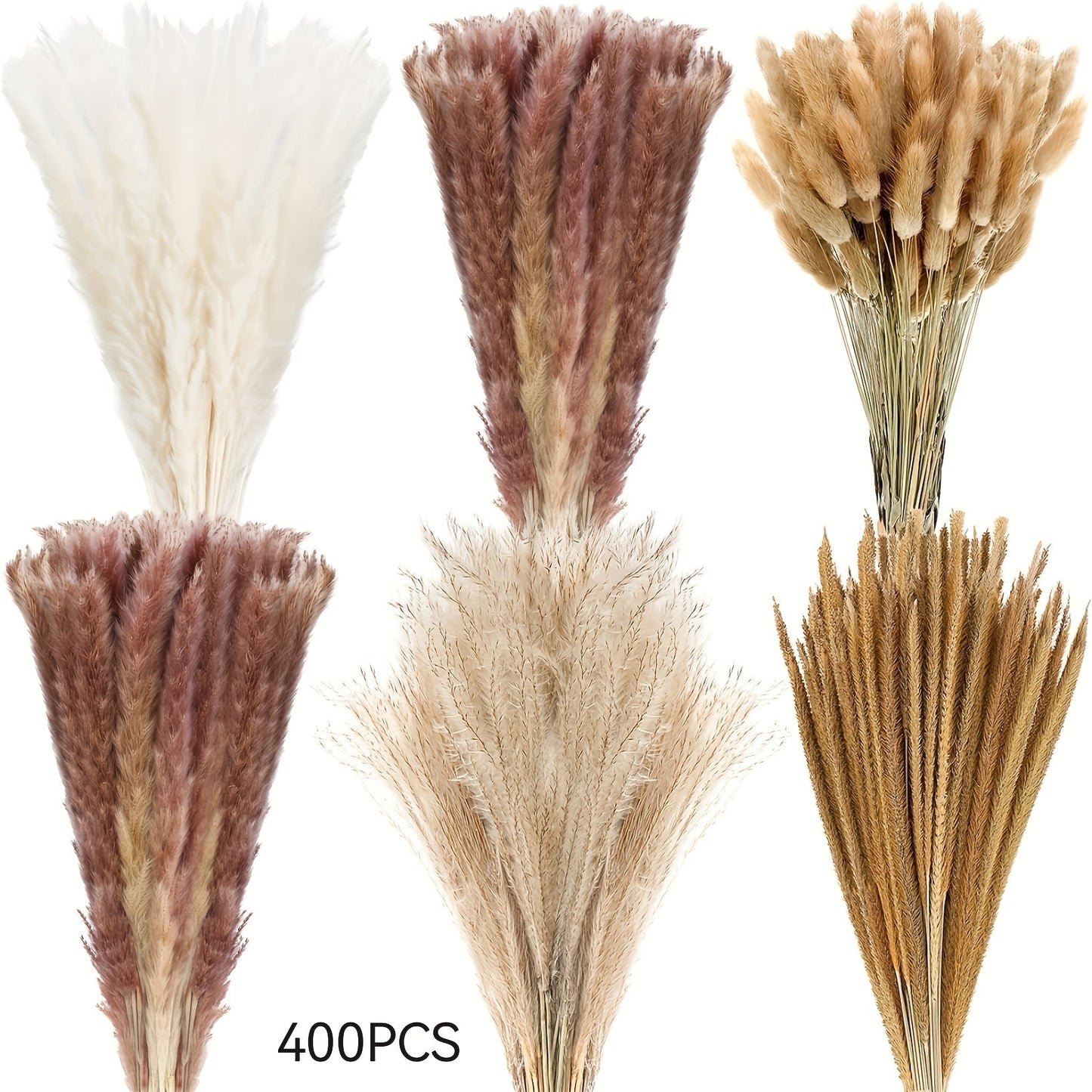 Neutral Pampas Grass and Reed Bouquet in 126 or 400-Piece Options with Trim-to-Length Stems