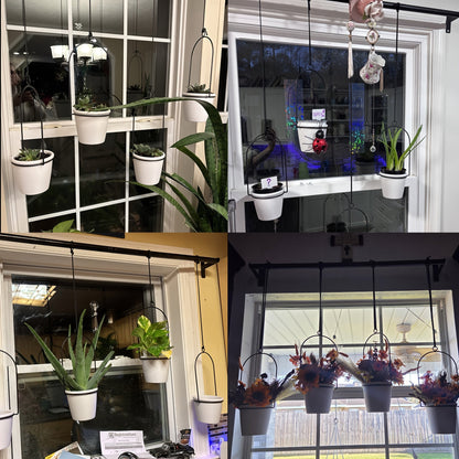 Adjustable Black Metal Hanging Plant Rack with Four Pot Holders for Wall or Window Display