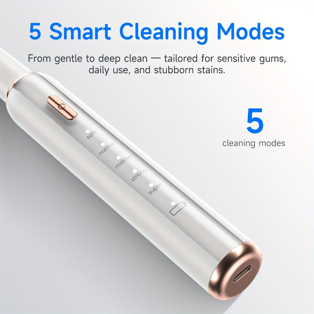 Interdental Plaque Remover with LED Light, Electric Teeth Cleaner, 5 Cleaning Modes, 2 Replacement Heads