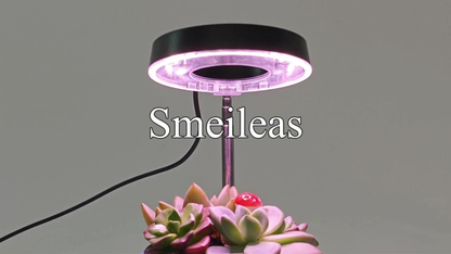 Magnetic Full-Spectrum Grow Light with 360-Degree Adjustable Head, Timer and Two- or Six-Piece Options