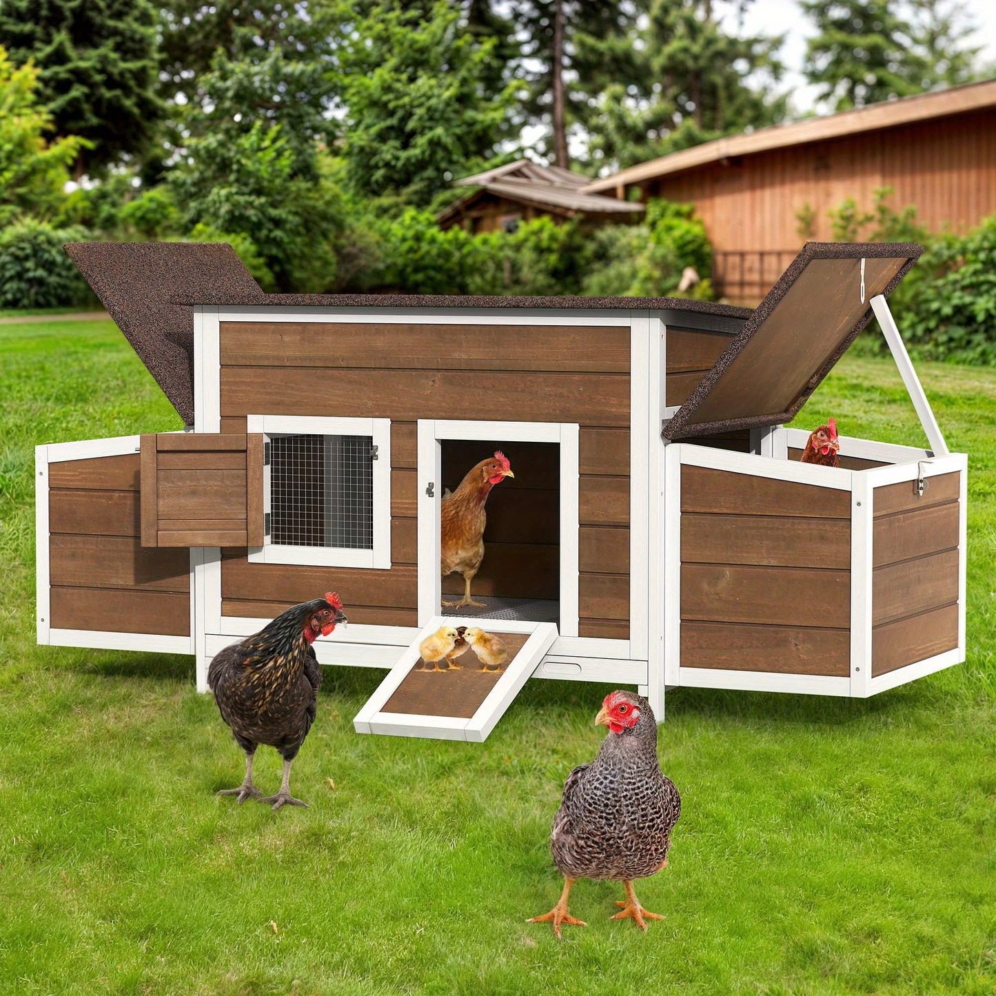 Wooden Hen House with 67in Frame, Two Nest Boxes, Ramp and Gray or Brown Two-Tone Outdoor Finish