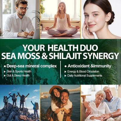 Sea Moss & Shilajit Bundle 6 Bottles – Sea Moss 350mg, Shilajit 300mg & Ashwagandha 200mg | 3-Month Herbal Supplement Kit for Energy, Vitality & Immune Support | All-in-One Wellness Value Pack